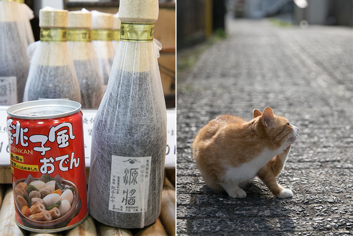 絶品缶詰を求めて銚子旅。新鮮な地魚と銚子産醤油に舌鼓