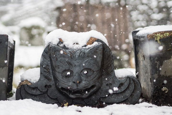 ネコ好き必見！ 雪の新潟で猫にまつわるお寺と神社をめぐる