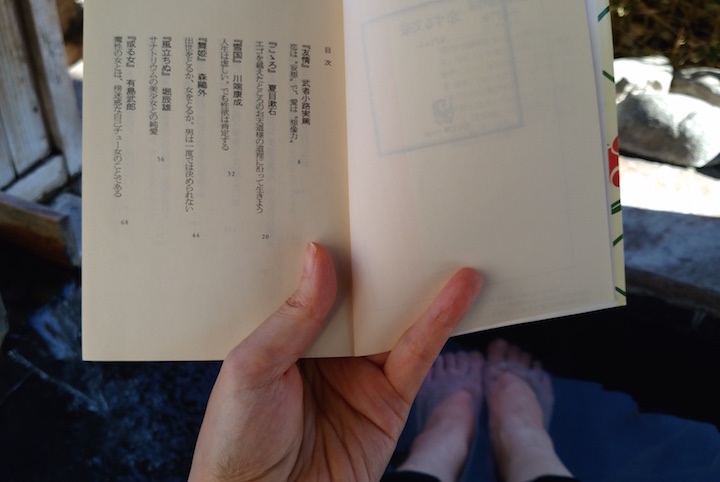 文学のメッカ修善寺にて「温泉旅館で読むならこれ！」を決めてきた