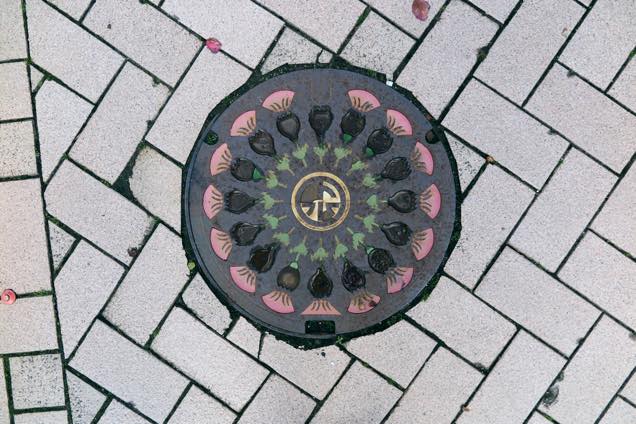 アザミ柄のカラーハンドホール蓋