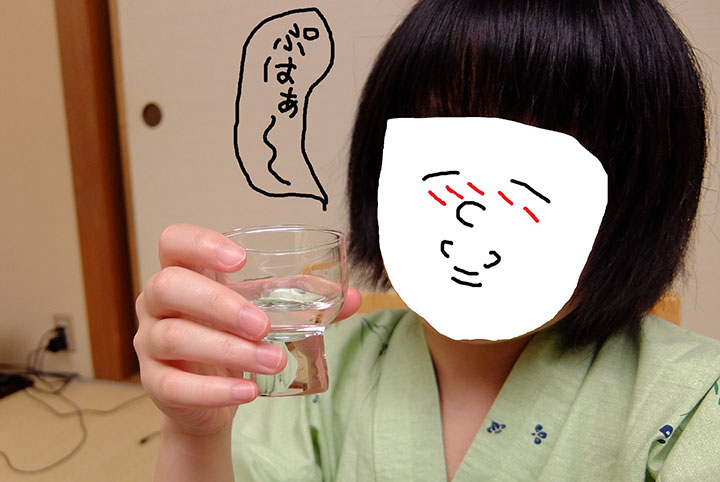 暇だから新潟県十日町で全部雪のせいにしてみた