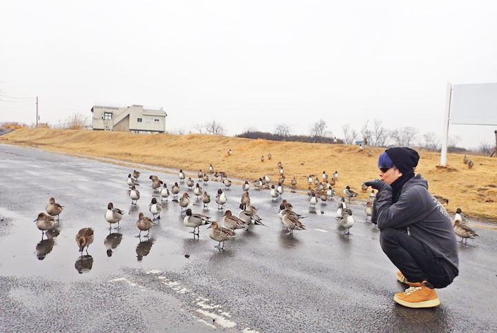 ♪鳥くんと巡るラムサール条約登録湿地 バードウォッチング旅