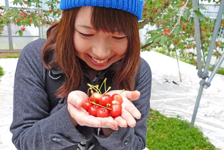 頑張る自分にビタミン注入♪山形でさくらんぼ狩り＆フルーツ堪能旅