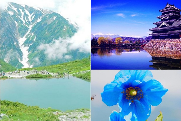 【人気の白馬＆松本へ】夏休み後半に行きたい信州お出かけスポット