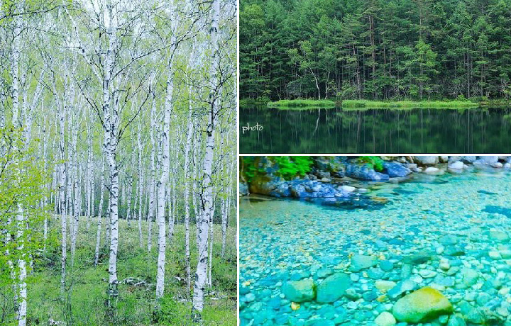 さわやかな夏の信州を旅しよう♪フォトキャンペーン実施中!
