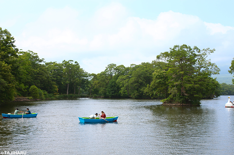 野生のキツネ、乗馬体験…フォトジェニックな北海道の大自然を満喫！