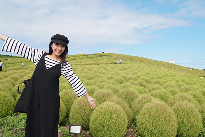 一面のコキアはインスタ映え抜群！国営ひたち海浜公園で絶景を撮影♪