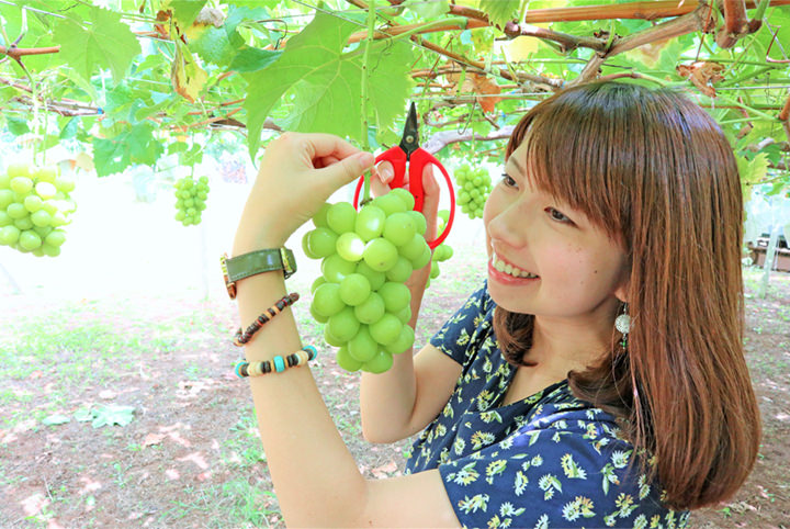 ぶどう狩り&ワイナリーを楽しむ女子旅。新宿からわずか90分の山梨へ