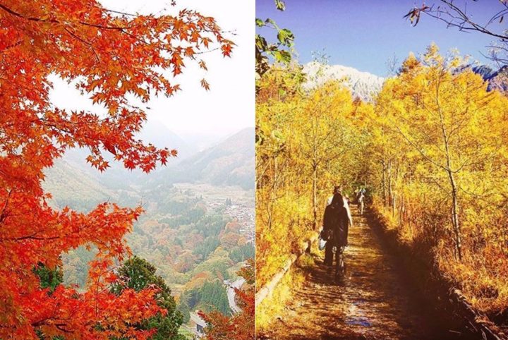 東北&関東近郊の紅葉名所と穴場スポット9選。10月・11月は紅葉狩りへ