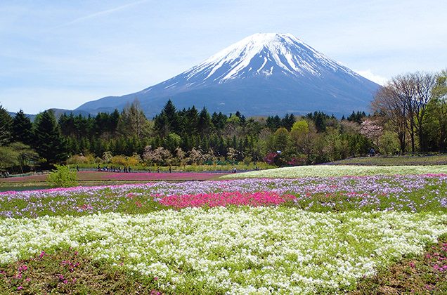 ゴールデンウィークは何する？おすすめの過ごし方とお出かけスポット24選