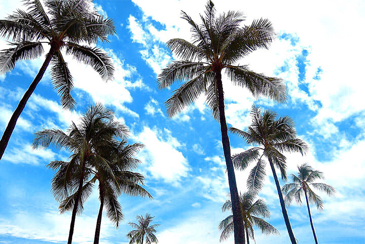 まるで南国みたい♪絶景を探しに初夏の伊豆へ