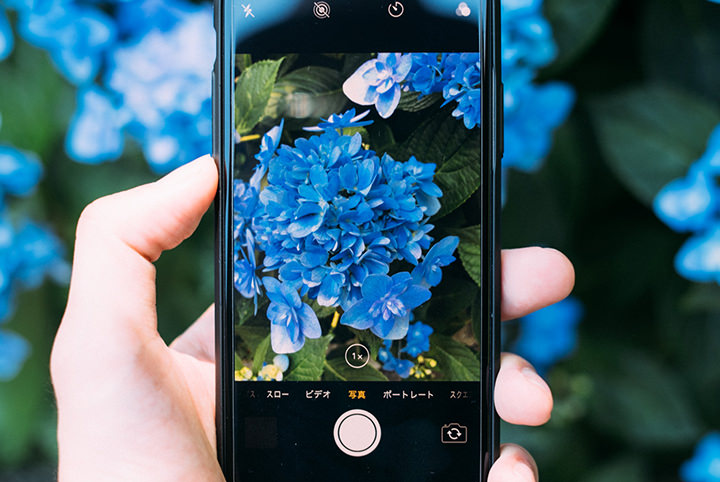 鎌倉のあじさいが見頃！「あえて1泊」のデートが贅沢！