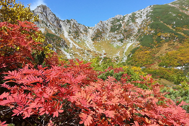 紅葉シーズン到来！温泉、ビールも大満喫の南信州へ♪