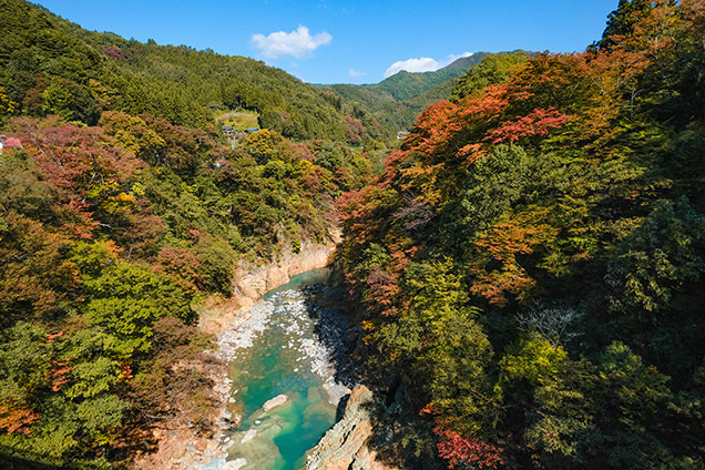 吾妻峡橋から見た渓谷。水の色も独特