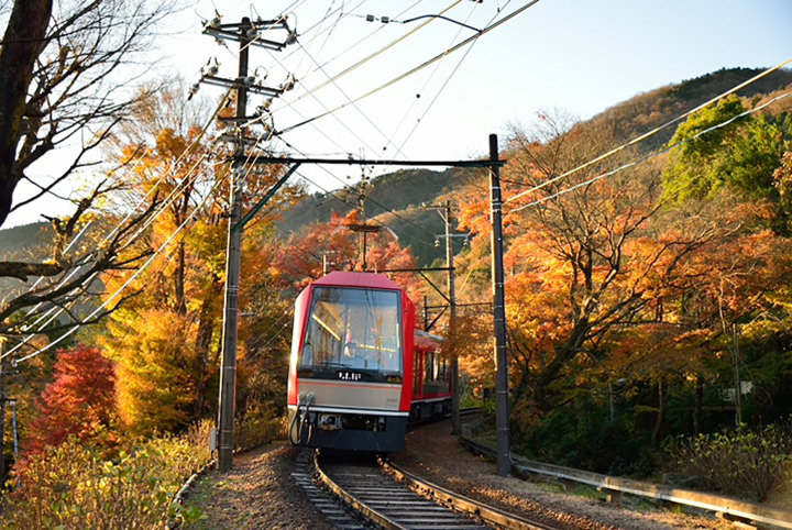 一面に広がるすすき草原に感動。秋めく箱根で絶景を撮る！