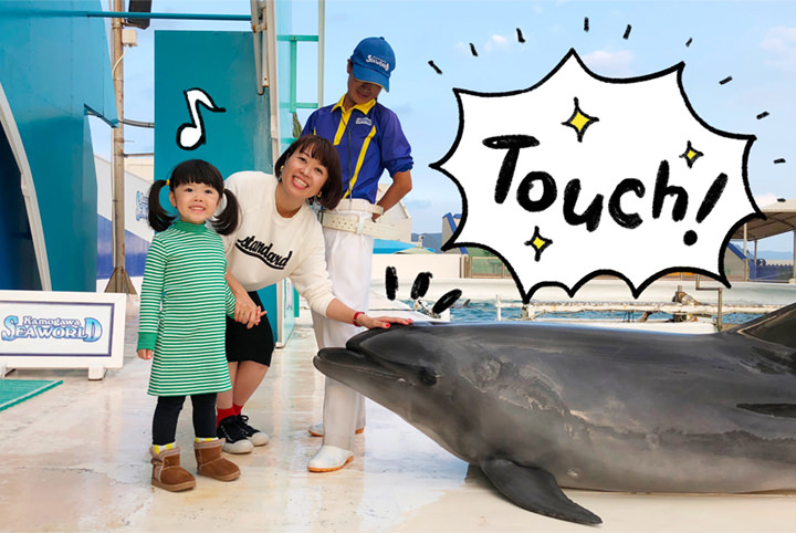 子どもと行くなら鴨川シーワールド一択！満足度120％の家族旅