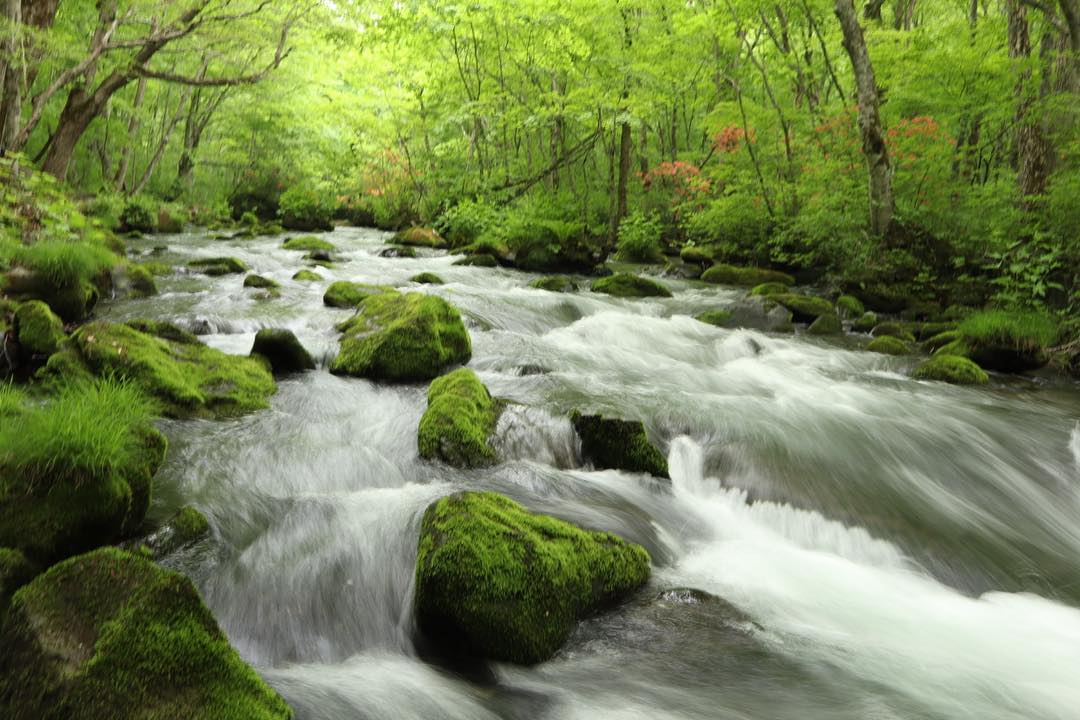 青森観光するなら外せない！編集部おすすめの旅スポット18選