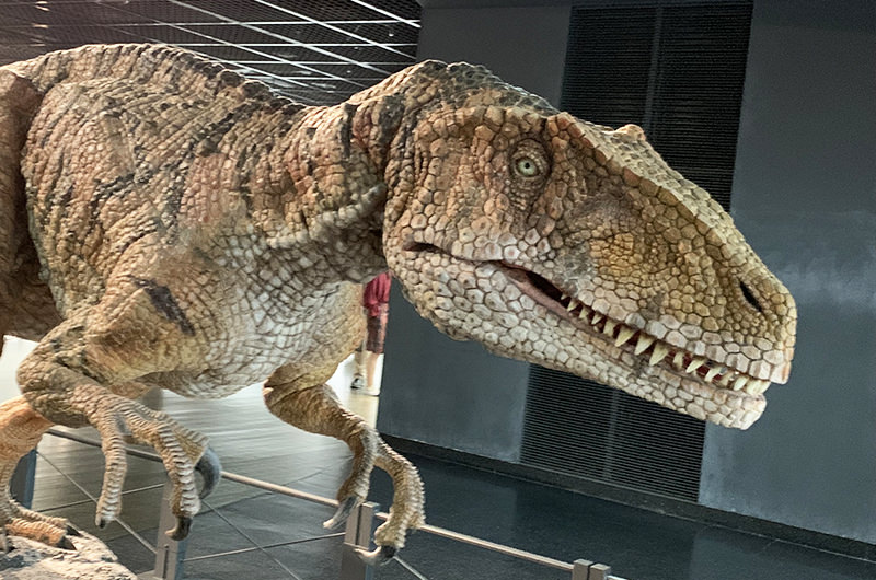 子どもと行きたい旅の決定版。恐竜王国・福井が最高すぎる！