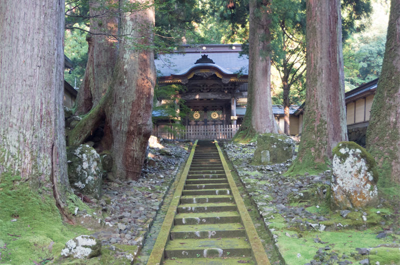煩悩クリエイターが行く座禅旅。禅の世界が体験できる宿に泊まってみた