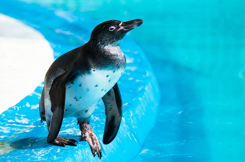 GWにおすすめ！子どもと楽しめる無料スポット5選【関東編】