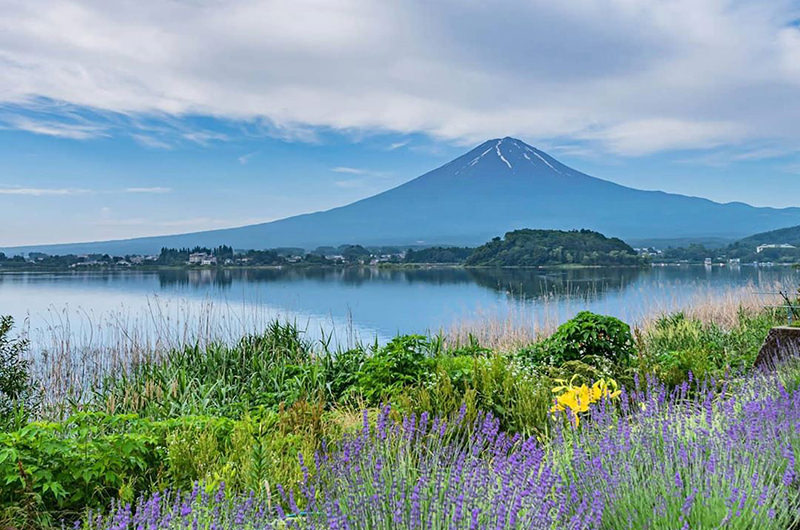 富士山が最も美しく見える場所は?富士五湖の絶景スポット5選