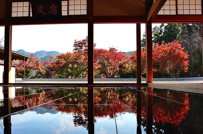 旅好き会員に聞く！この秋おすすめの紅葉の楽しみ方は？