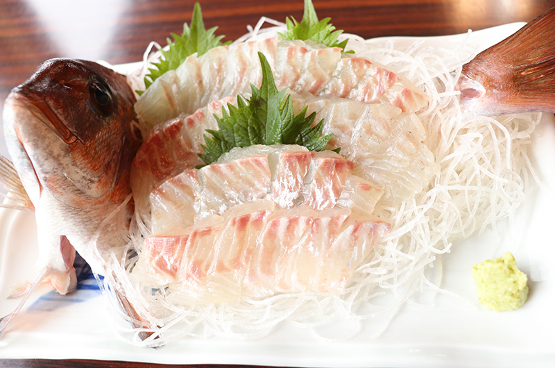 手ぶらOK＆すぐ食べられる！熱海で夢のような釣り体験を