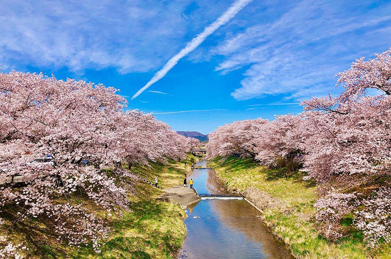 プロの写真家がインスタから厳選！美しすぎる桜の絶景写真