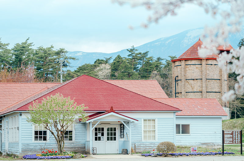 【自然を満喫する】岩手・ひとり旅。網張温泉、小岩井農場の一本桜