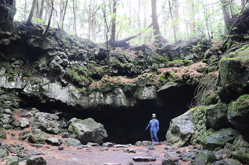 【夏でもひんやり】山梨・樹海ツアーで原生林を歩き、洞窟を探検