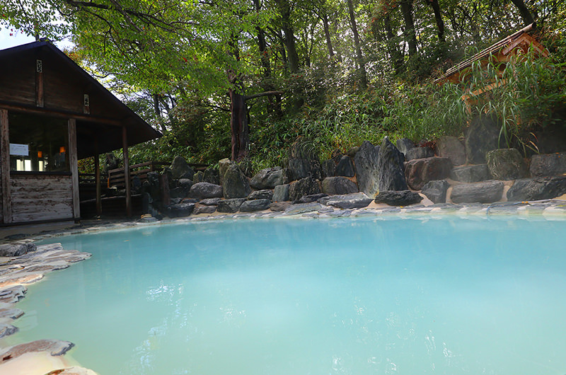 「野地温泉ホテル」宿泊記。お湯巡りと森林浴でリフレッシュ