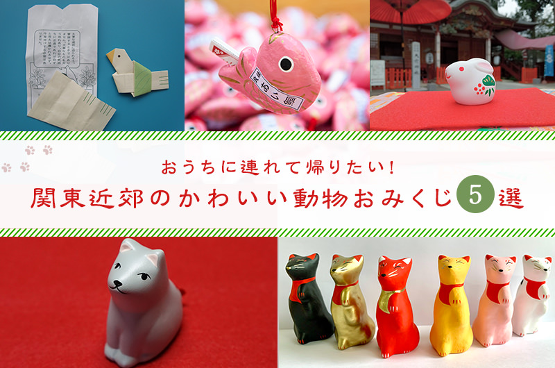 おうちに連れて帰りたい！関東近郊のかわいい動物おみくじ5選