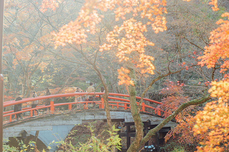 【群馬・伊香保温泉】四季折々の美しい景観に出合える河鹿橋へ