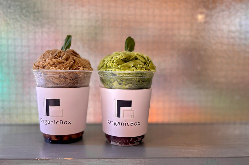 【熱海スイーツ旅】新店も続々オープン。春の花もたっぷり観賞