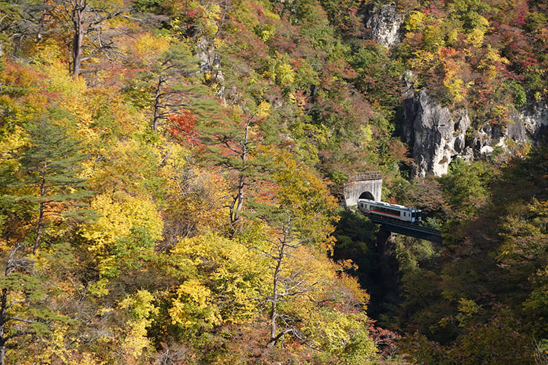 紅葉時期の大深沢橋から眺める陸羽東線