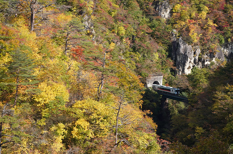 ローカル線・陸羽東線の旅。キハ110の車窓から眺める紅葉の鳴子峡