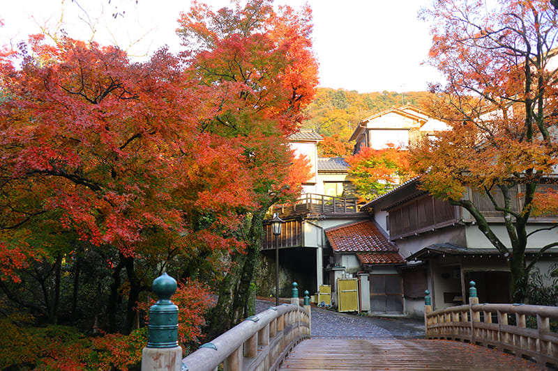 紅葉時期のこおろぎ橋