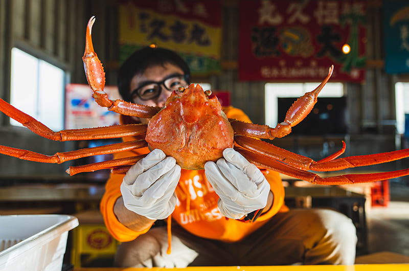 冬の富山で紅ズワイガニ＆寒ブリを満喫。勝興寺で七不思議探し