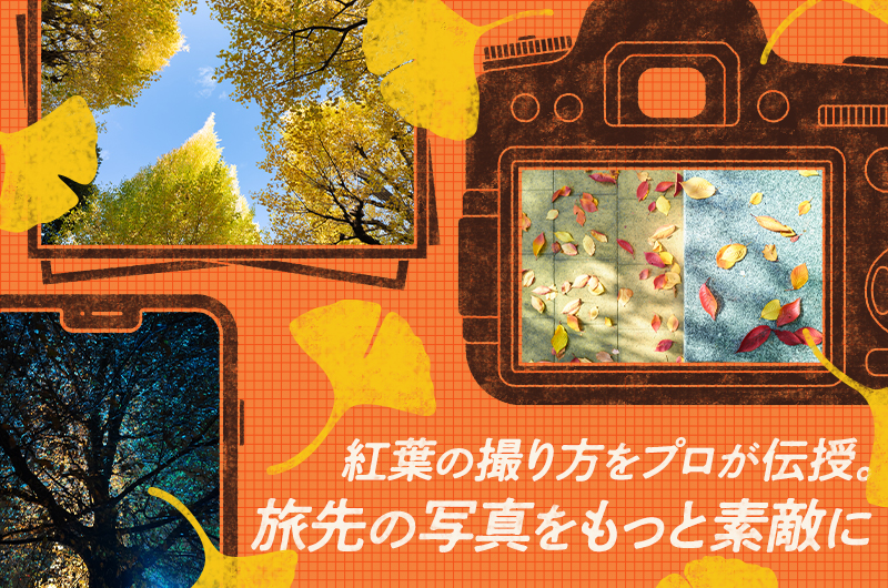 紅葉の撮影方法。撮影者は写真家・大村祐里子さん