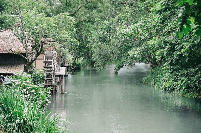 大王わさび農場で絶品ランチ・本わさび飯のお店へ。安曇野の旅