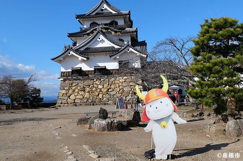 彦根城周辺を巡る観光モデルコース。ひこにゃんに会える滋賀の旅