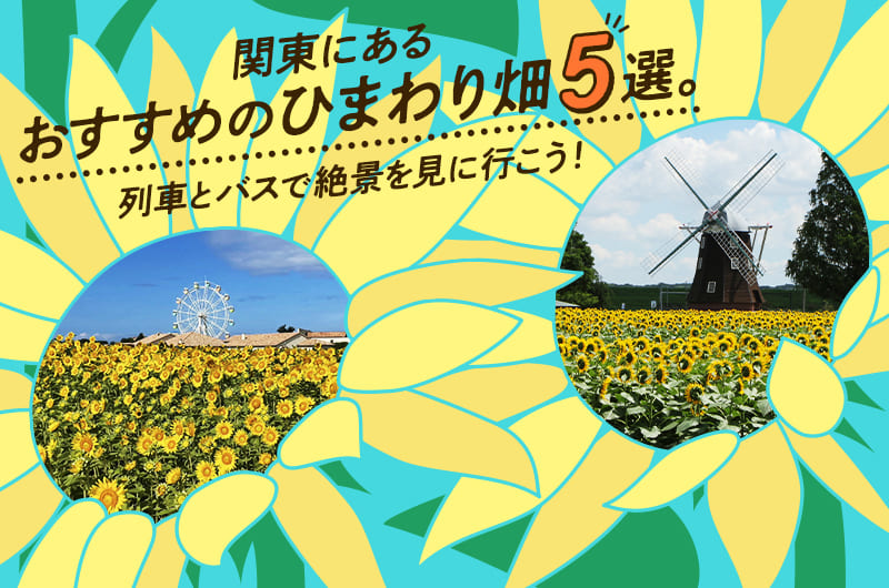 関東にあるおすすめのひまわり畑5選。列車とバスで絶景を見に行こう！