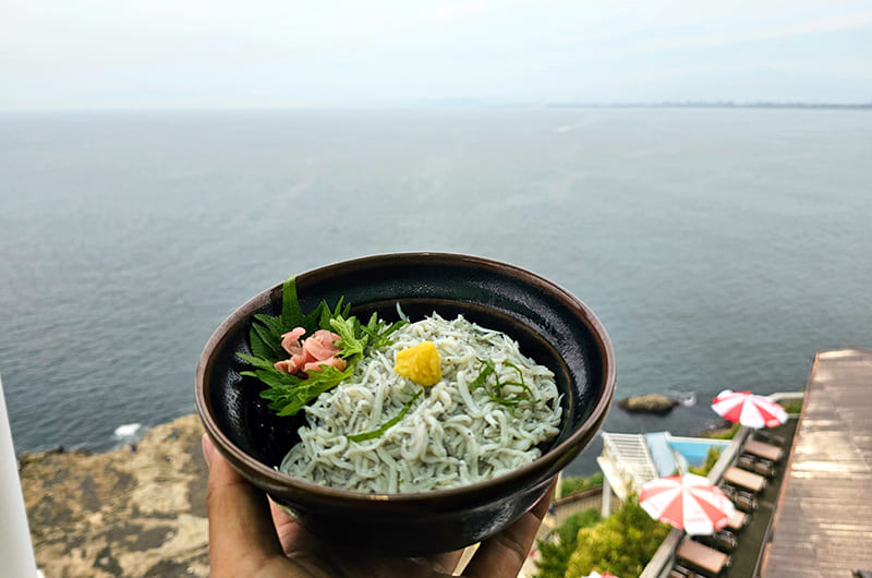 湘南モノレールで行く裏鎌倉＆江の島。穴場観光スポットを巡る旅