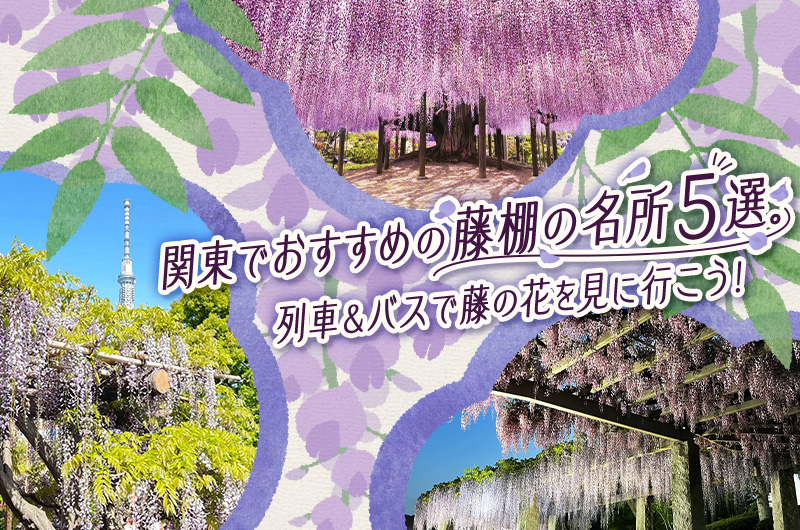 関東でおすすめの藤棚の名所5選。列車＆バスで藤の花を見に行こう！