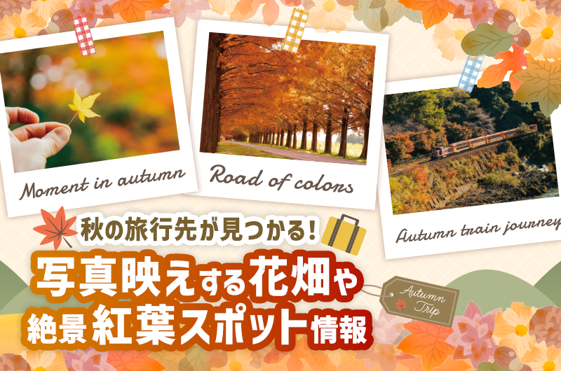 秋の旅行先が見つかる！写真映えする花畑や絶景紅葉スポット情報