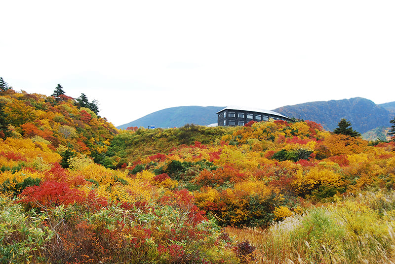 紅葉時期の栗駒山荘