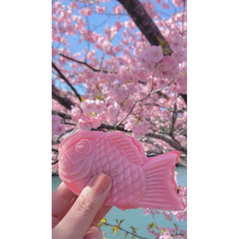 1日目見どころ・河津桜と桜たいやき