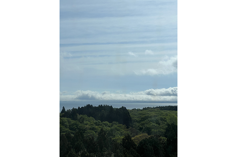 客室の窓から見た青空と木々の景色