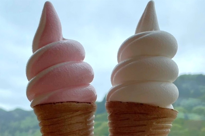 2つのジェラソフト