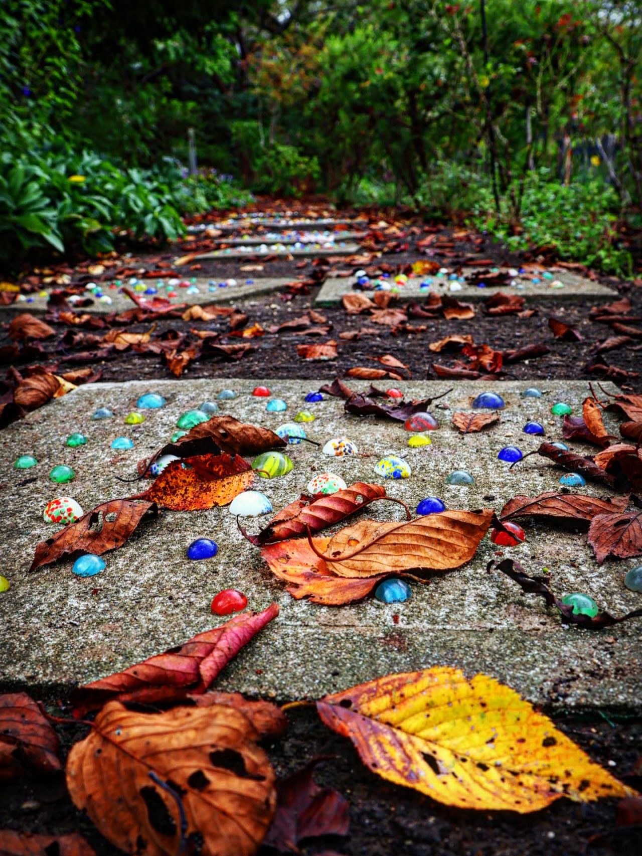 カラフルなビー玉が埋め込まれた遊歩道と落ち葉の写真